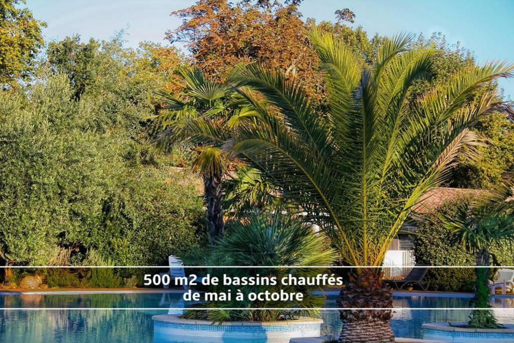 Villa Chalet T3/clim/wifi/pkg/terrasse/15 min plages à La Teste-de-Buch Extérieur photo